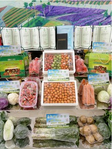 首屆金昌農(nóng)產(chǎn)品展覽會(huì)圓滿(mǎn)落幕 初加工食用農(nóng)產(chǎn)品引領(lǐng)農(nóng)業(yè)新風(fēng)向